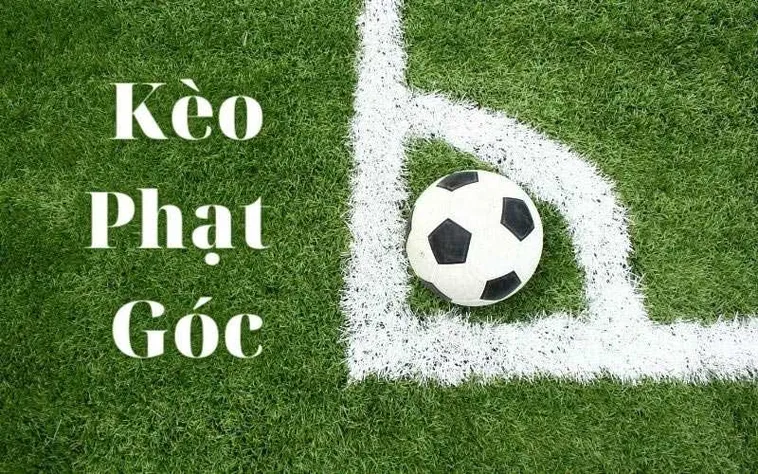 Cách Chơi Kèo Phạt Góc Bóng Đá Chuẩn Xác Giúp Bạn Tăng Tỷ Lệ Thắng