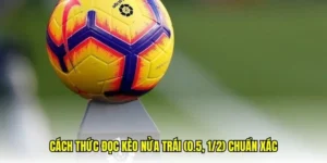 Phân Tích Kèo Chấp 0.5 Và Cách Nhận Diện Cơ Hội Chiến Thắng Hiệu Quả