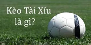 Kèo Tài Xỉu Là Gì Và Cách Phân Tích Chuẩn Xác Cho Người Mới