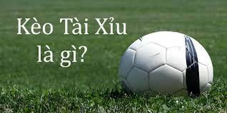 Kèo Tài Xỉu Là Gì Và Cách Phân Tích Chuẩn Xác Cho Người Mới