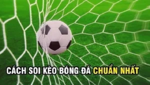 Hướng Dẫn Chi Tiết Cách Chơi Kèo Rung Trong Bóng Đá Dành Cho Người Mới