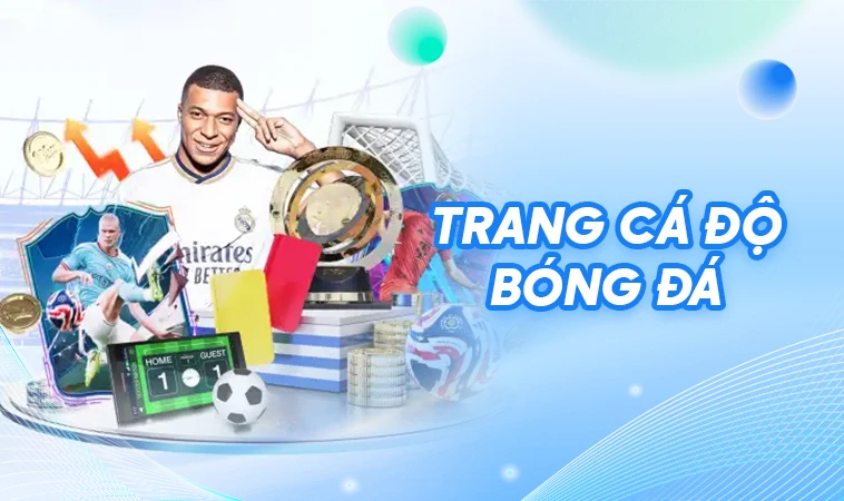 Top Các Trang Cá Độ Bóng Đá Uy Tín - Hợp Pháp Tại Việt Nam