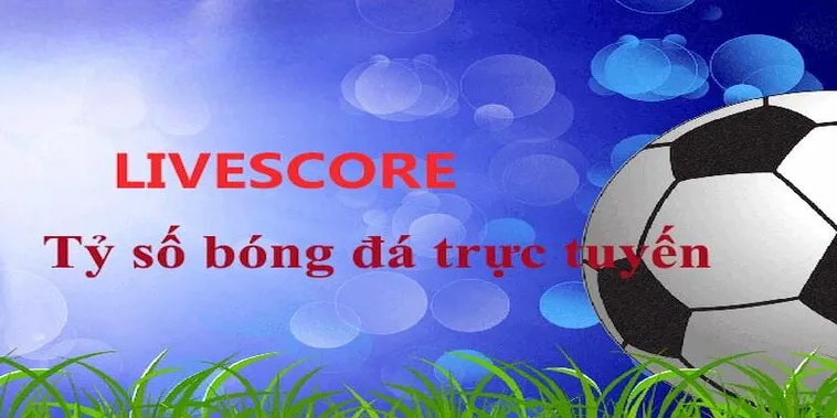 Cập Nhật Tỷ Số Bóng Đá Hôm Nay Nhanh Nhất Chính Xác Theo Từng Giải Đấu