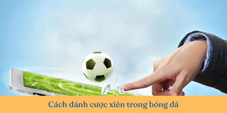 Bí Kíp Chơi Kèo Xiên Trong Bóng Đá Hiệu Quả Và An Toàn Cho Người Mới